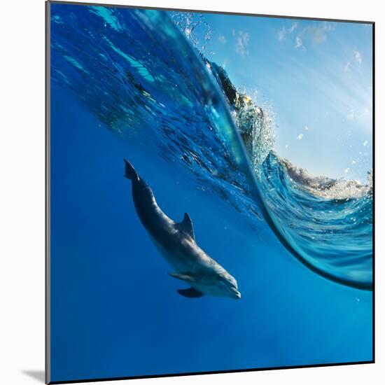 Tropical Seascape with Water Waved Surface and Dolphin Swimming Underwater-Willyam Bradberry-Mounted Photographic Print