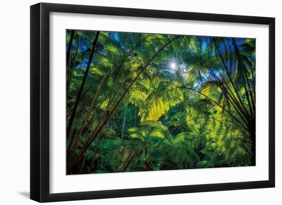 Tropical Shade-Dennis Frates-Framed Giclee Print