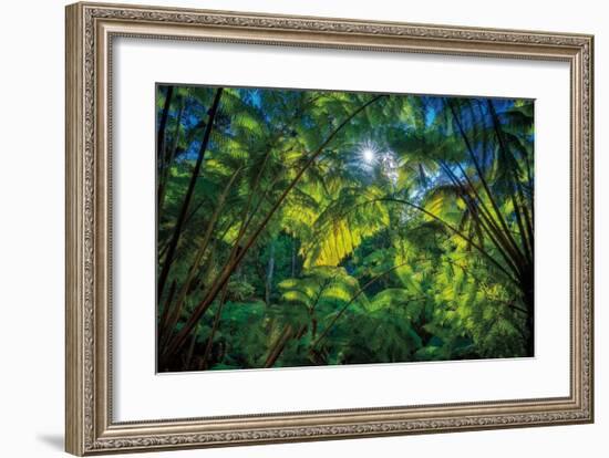 Tropical Shade-Dennis Frates-Framed Giclee Print