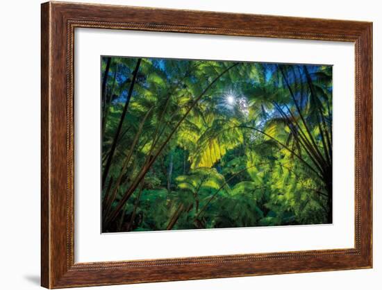 Tropical Shade-Dennis Frates-Framed Giclee Print