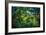 Tropical Shade-Dennis Frates-Framed Giclee Print