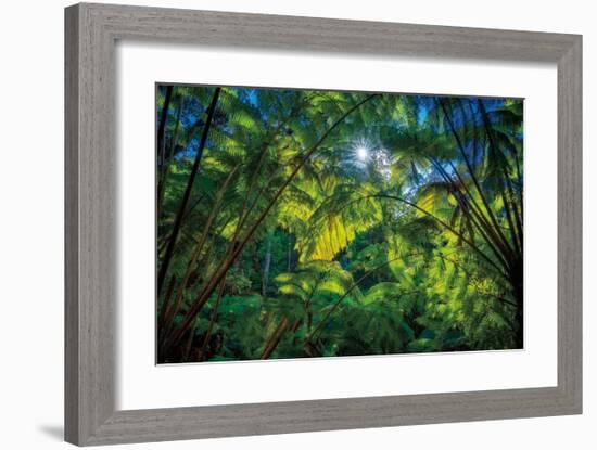 Tropical Shade-Dennis Frates-Framed Giclee Print