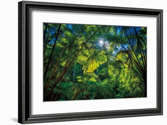 Tropical Shade-Dennis Frates-Framed Giclee Print