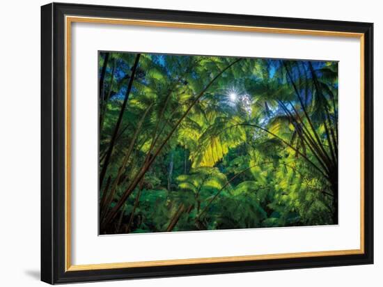 Tropical Shade-Dennis Frates-Framed Giclee Print