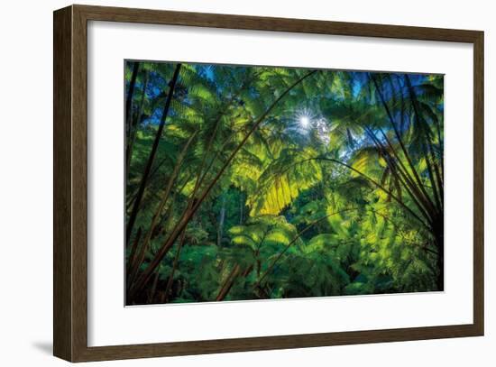 Tropical Shade-Dennis Frates-Framed Giclee Print