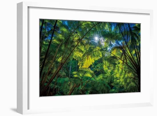 Tropical Shade-Dennis Frates-Framed Giclee Print