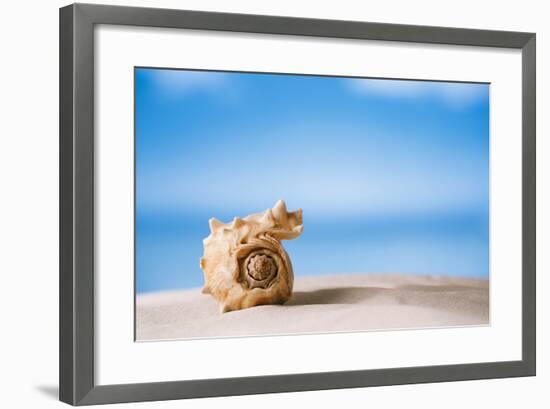 Tropical Shell on White Florida Beach Sand under Sun Light, Shallow Dof-lenka-Framed Photographic Print