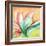 Tropical Splendor II-Patricia Pinto-Framed Art Print