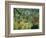 Tropical Storm with Tiger, Surprise-Henri Rousseau-Framed Giclee Print