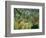 Tropical Storm with Tiger, Surprise-Henri Rousseau-Framed Giclee Print