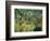 Tropical Storm with Tiger, Surprise-Henri Rousseau-Framed Giclee Print