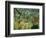 Tropical Storm with Tiger, Surprise-Henri Rousseau-Framed Giclee Print