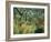 Tropical Storm with Tiger, Surprise-Henri Rousseau-Framed Giclee Print