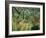 Tropical Storm with Tiger, Surprise-Henri Rousseau-Framed Giclee Print