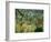 Tropical Storm with Tiger, Surprise-Henri Rousseau-Framed Premium Giclee Print