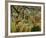 Tropical Storm with Tiger-Henri Rousseau-Framed Art Print