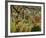 Tropical Storm with Tiger-Henri Rousseau-Framed Art Print