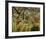 Tropical Storm with Tiger-Henri Rousseau-Framed Art Print