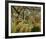 Tropical Storm with Tiger-Henri Rousseau-Framed Art Print