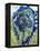 Tropical Storm-Roberto Gonzalez-Framed Stretched Canvas