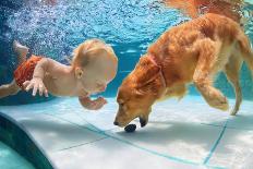 Funny Little Child Play with Fun and Train Golden Labrador Retriever Puppy in Swimming Pool, Jump A-Tropical studio-Photographic Print