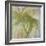 Tropical Study 3-Maeve Harris-Framed Giclee Print