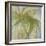 Tropical Study 3-Maeve Harris-Framed Giclee Print