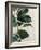 Tropical Study I-Julia Purinton-Framed Art Print