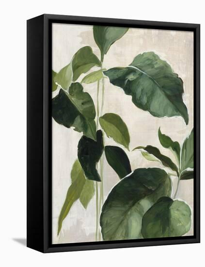 Tropical Study II-Julia Purinton-Framed Stretched Canvas