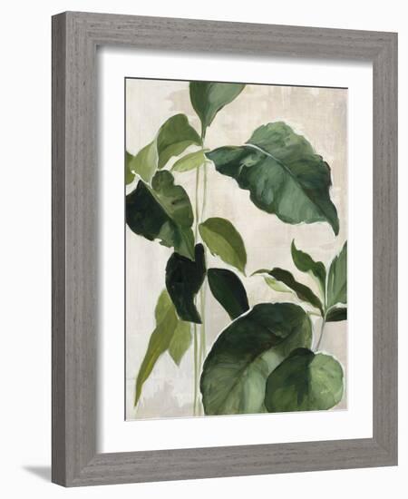 Tropical Study II-Julia Purinton-Framed Art Print