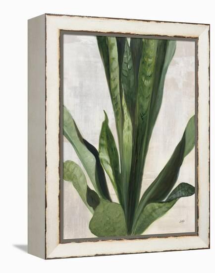Tropical Study III-Julia Purinton-Framed Stretched Canvas