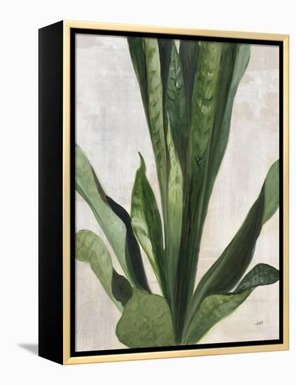 Tropical Study III-Julia Purinton-Framed Stretched Canvas