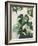 Tropical Study IV-Julia Purinton-Framed Art Print