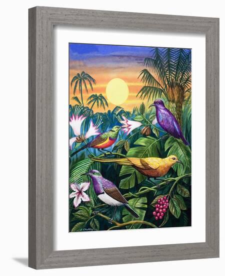 Tropical Sunbirds-John Chalkley-Framed Giclee Print