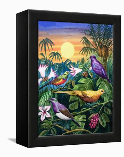 Tropical Sunbirds-John Chalkley-Framed Premier Image Canvas