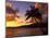 Tropical Sunrise on the Garden Isle, Kauai, Hawaii, USA-Jerry Ginsberg-Mounted Photographic Print