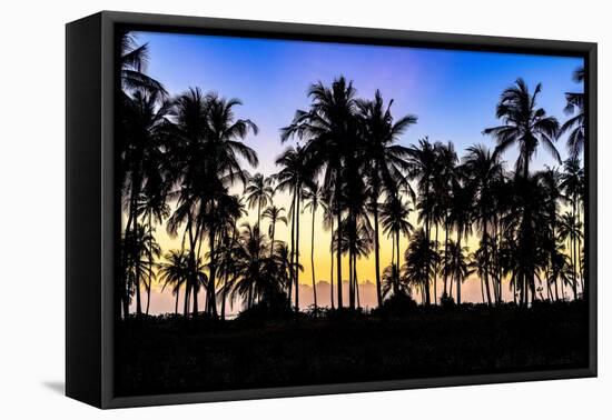 Tropical sunrise over silhouettes of palm trees, Zanzibar, Tanzania-Roberto Moiola-Framed Premier Image Canvas