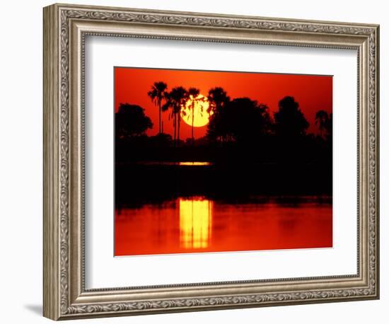 Tropical Sunset, Botswana-Charles Sleicher-Framed Photographic Print