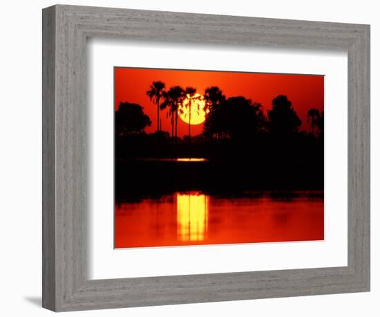 Tropical Sunset, Botswana-Charles Sleicher-Framed Photographic Print