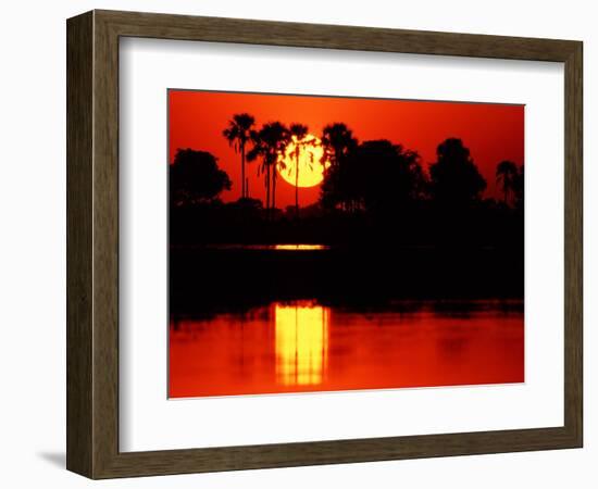 Tropical Sunset, Botswana-Charles Sleicher-Framed Photographic Print