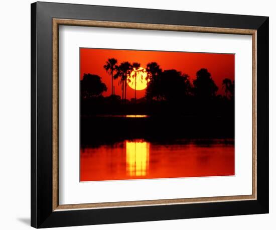 Tropical Sunset, Botswana-Charles Sleicher-Framed Photographic Print