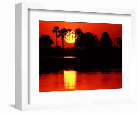 Tropical Sunset, Botswana-Charles Sleicher-Framed Photographic Print