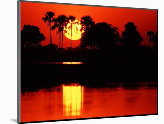 Tropical Sunset, Botswana-Charles Sleicher-Mounted Photographic Print
