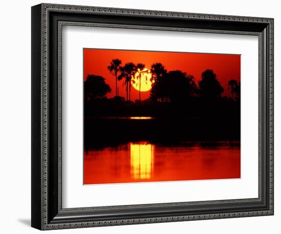 Tropical Sunset, Botswana-Charles Sleicher-Framed Photographic Print