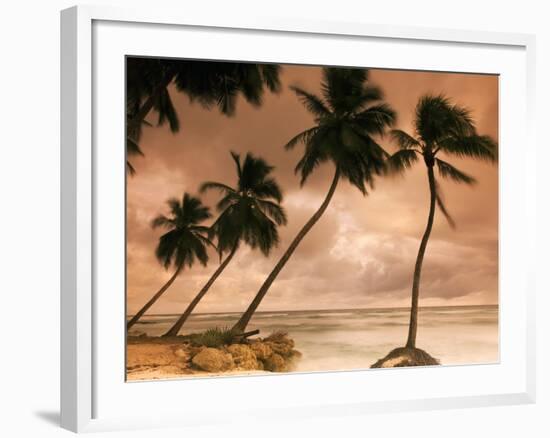 Tropical Sunset, Bridgetown, Barbados, West Indies, Caribbean, Central America-Angelo Cavalli-Framed Photographic Print