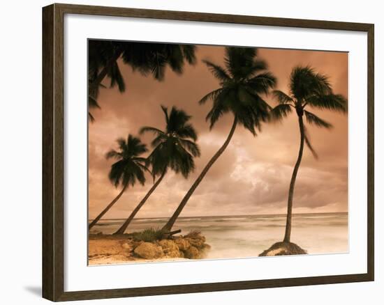 Tropical Sunset, Bridgetown, Barbados, West Indies, Caribbean, Central America-Angelo Cavalli-Framed Photographic Print