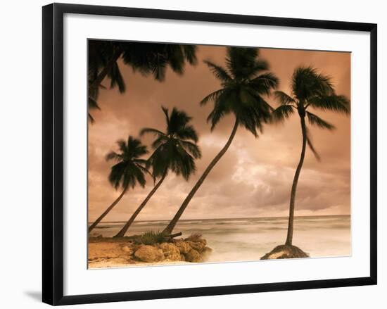 Tropical Sunset, Bridgetown, Barbados, West Indies, Caribbean, Central America-Angelo Cavalli-Framed Photographic Print