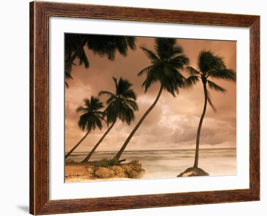 Tropical Sunset, Bridgetown, Barbados, West Indies, Caribbean, Central America-Angelo Cavalli-Framed Photographic Print