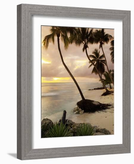 Tropical Sunset, Bridgetown, Barbados, West Indies, Caribbean, Central America-Angelo Cavalli-Framed Photographic Print