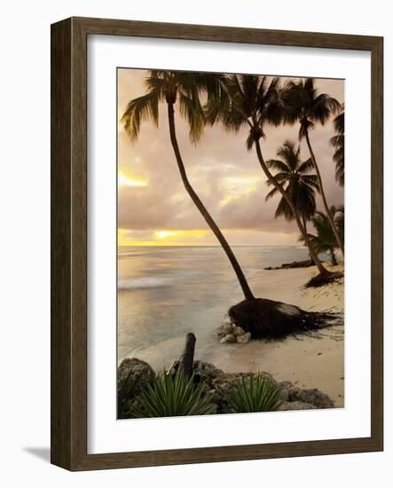 Tropical Sunset, Bridgetown, Barbados, West Indies, Caribbean, Central America-Angelo Cavalli-Framed Photographic Print